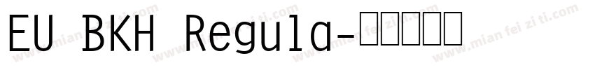 EU BKH Regula字体转换